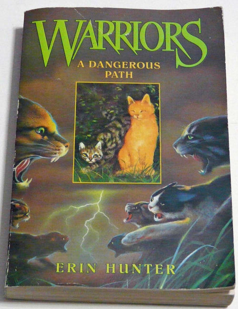 Warriors #5 A Dangerous Path