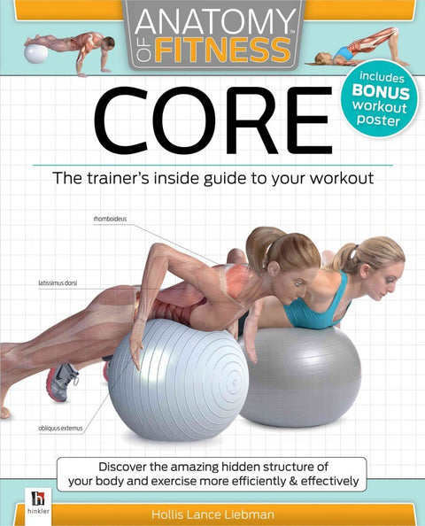 Sangle abdominale (Anatomie du fitness)