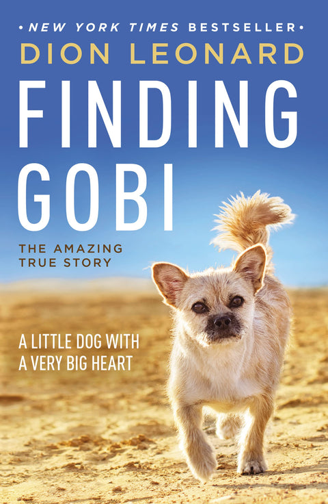 Trouver Gobi : Un petit chien avec un très grand cœur