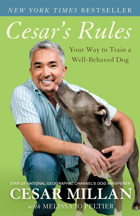 Les règles de César : comment éduquer un chien bien élevé