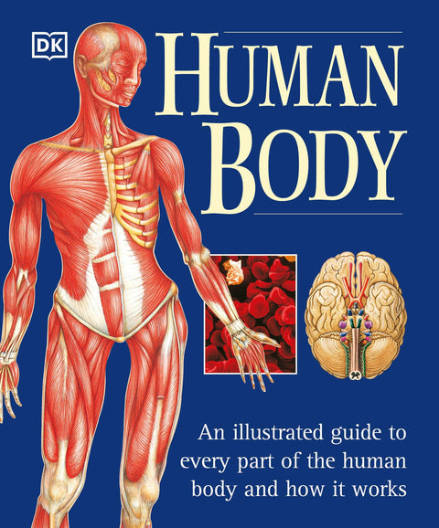 Le corps humain : guide illustré de chaque partie du corps humain et de son fonctionnement