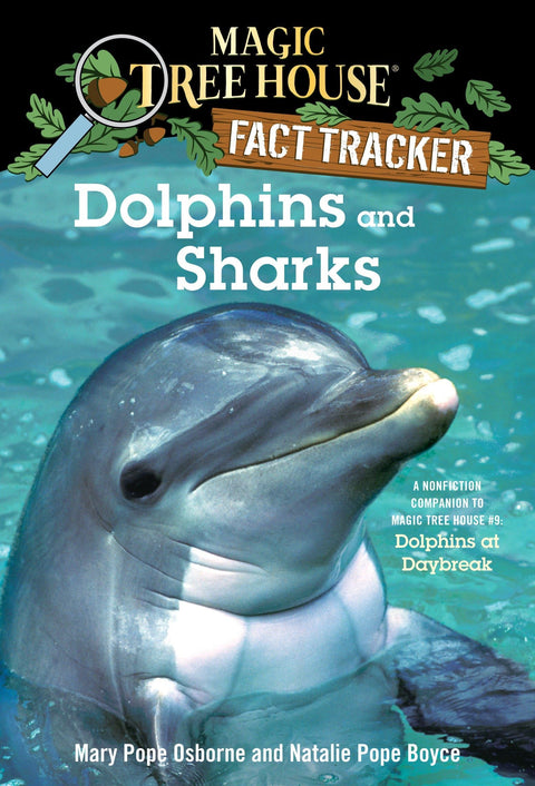 Dauphins et requins : un ouvrage documentaire pour accompagner La Cabane magique n° 9 : Les Dauphins à l’aube