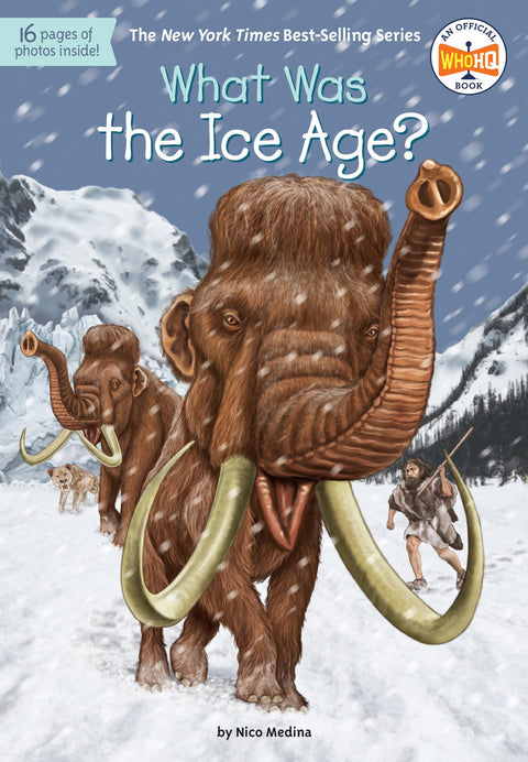 Qu'était que l'âge de glace ?