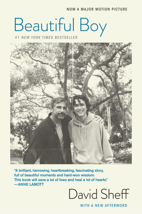 Beautiful Boy (Tiré du film) : L'histoire déchirante d'un père confronté à l'amour, l'addiction et le combat pour sauver son fils