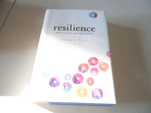 La résilience : pourquoi les choses rebondissent