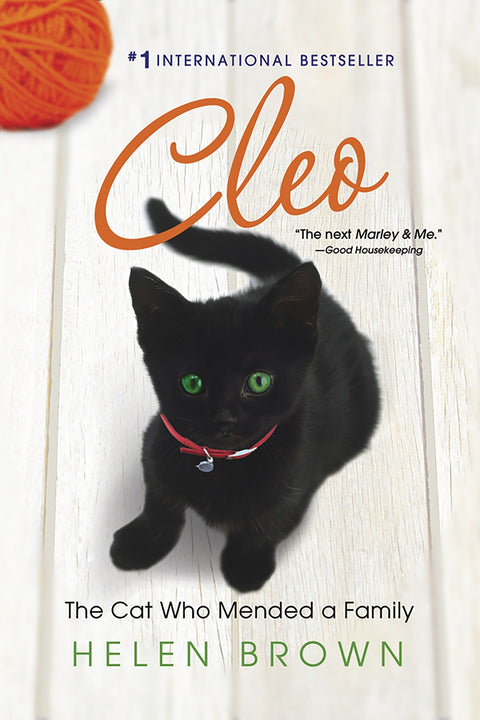 CLEO : La chatte qui a réuni une famille