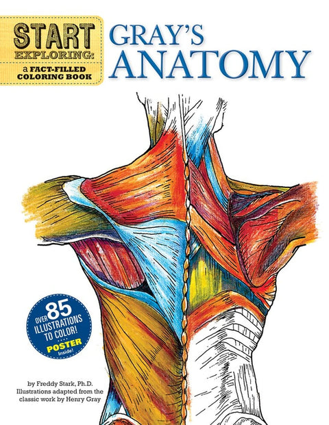 Commencez l’exploration : L’anatomie de Gray : un livre de coloriage riche en faits (Commencez l’exploration (livres de coloriage))