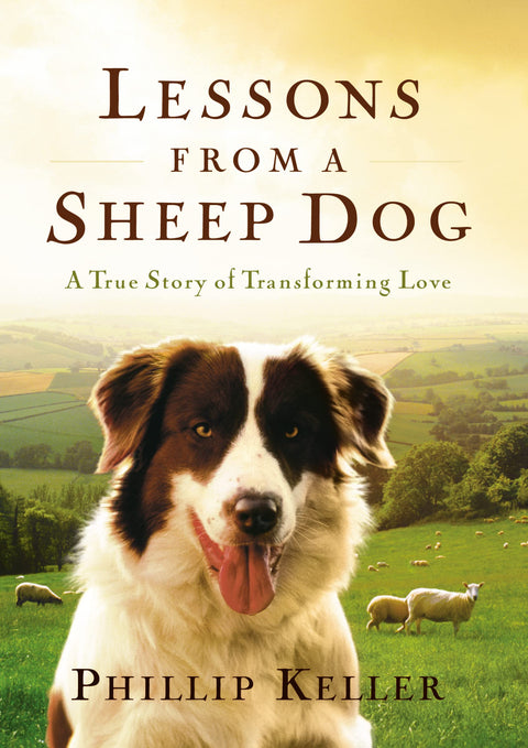 Les leçons d’un chien de berger : une histoire vraie d’amour transformateur