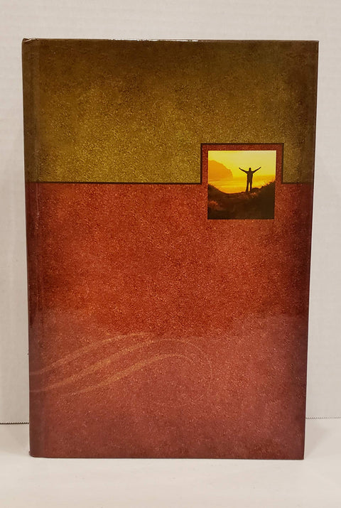 Bible Celebrate Recovery, Nouvelle version internationale