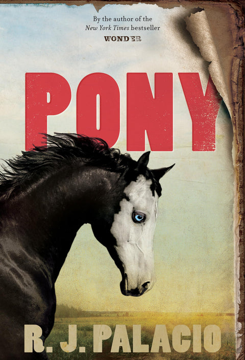 Poney
