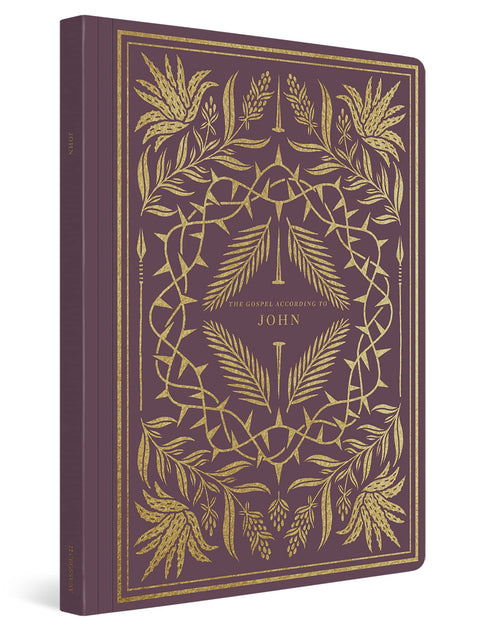 Journal biblique lumineux ESV : Jean (broché)