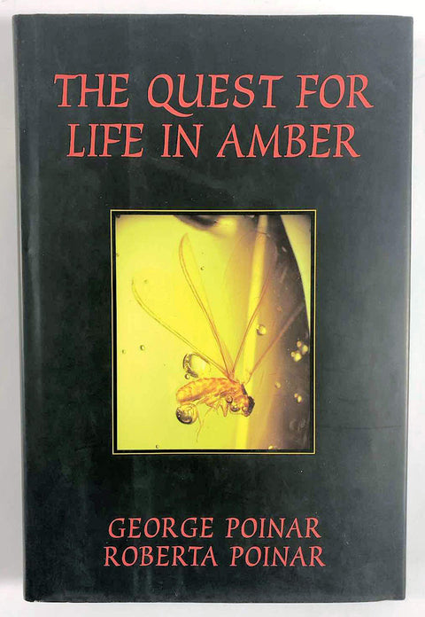 La quête de la vie dans l'ambre