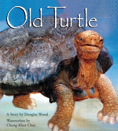 Vieille tortue