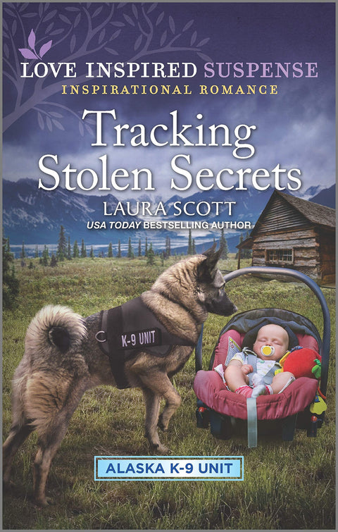 À la poursuite des secrets volés : 4
