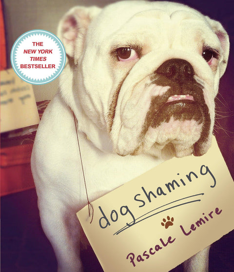 Humiliation de chiens