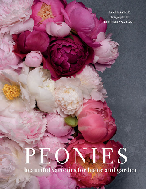 Pivoines : de belles variétés pour la maison et le jardin (fleurs)