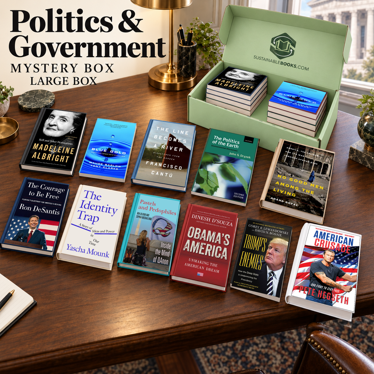 Politics & Government large mystery box with example books. Titles and quantities vary.