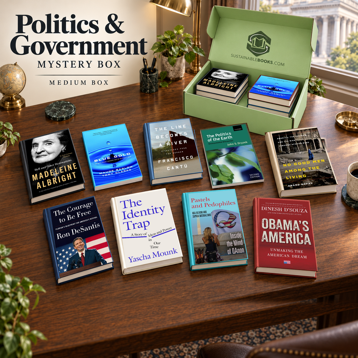 Politics & Government medium mystery box with example books. Titles and quantities vary.