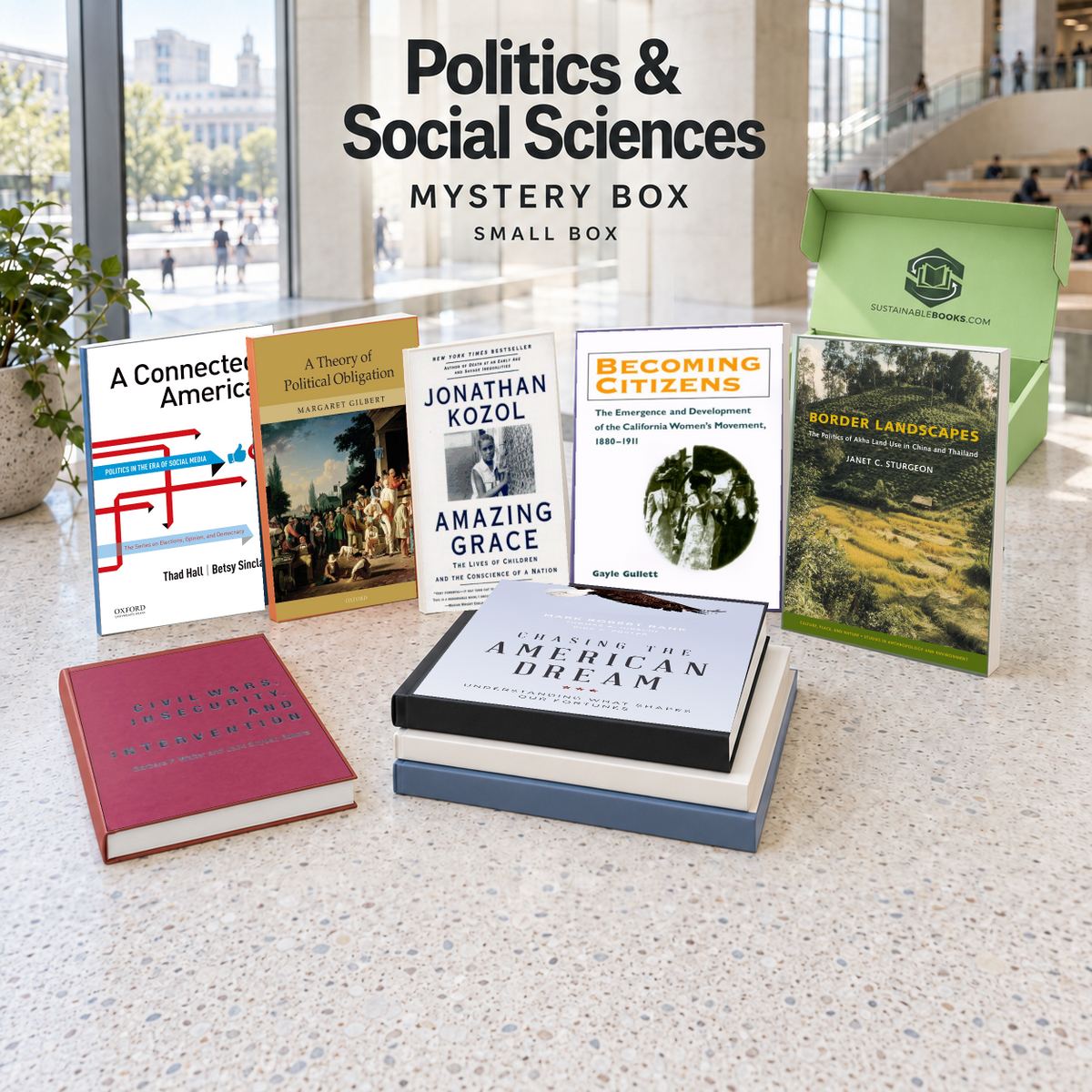 Politics & Social Sciences small mystery box with example books. Titles and quantities vary.