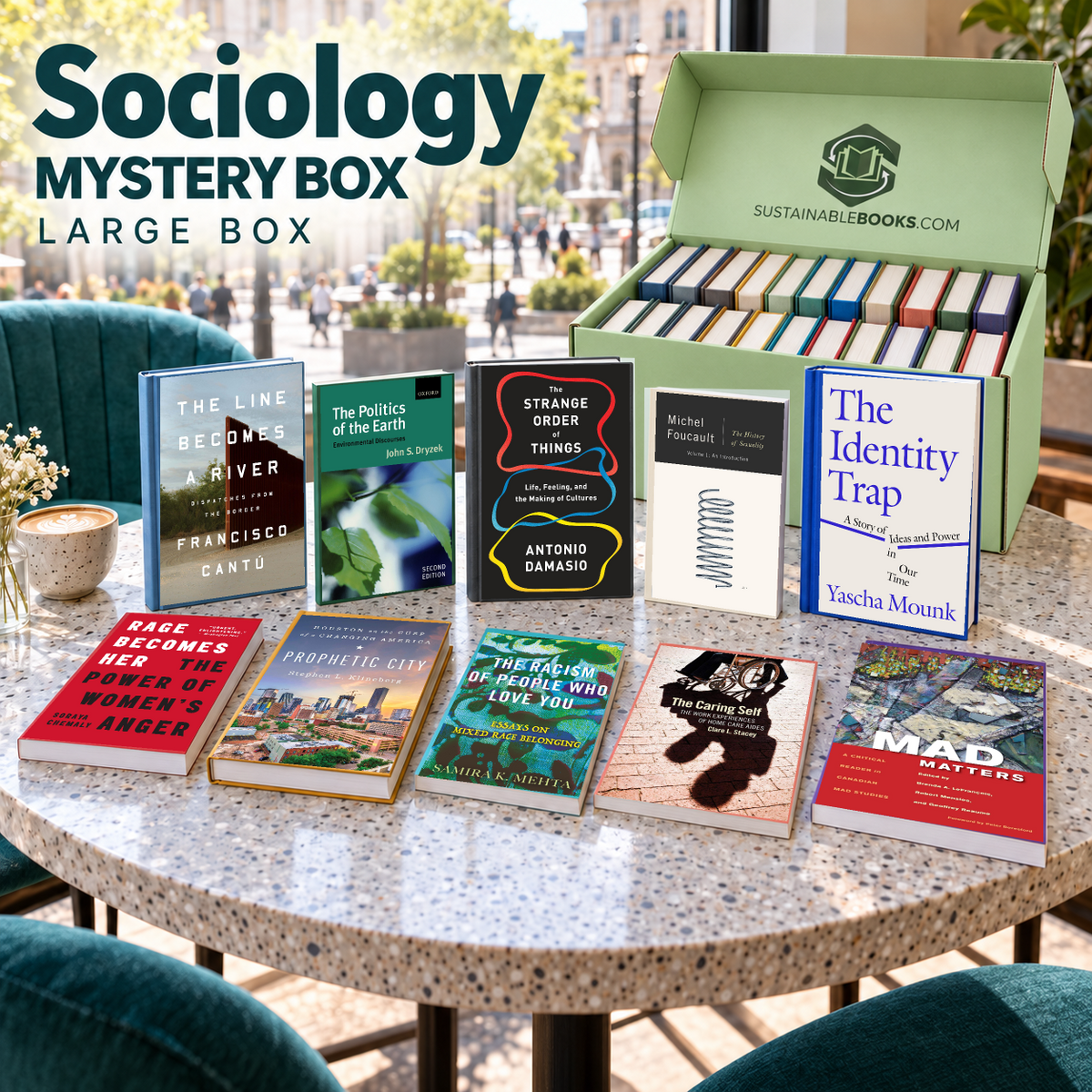 Sociology large mystery box with example books. Titles and quantities vary.
