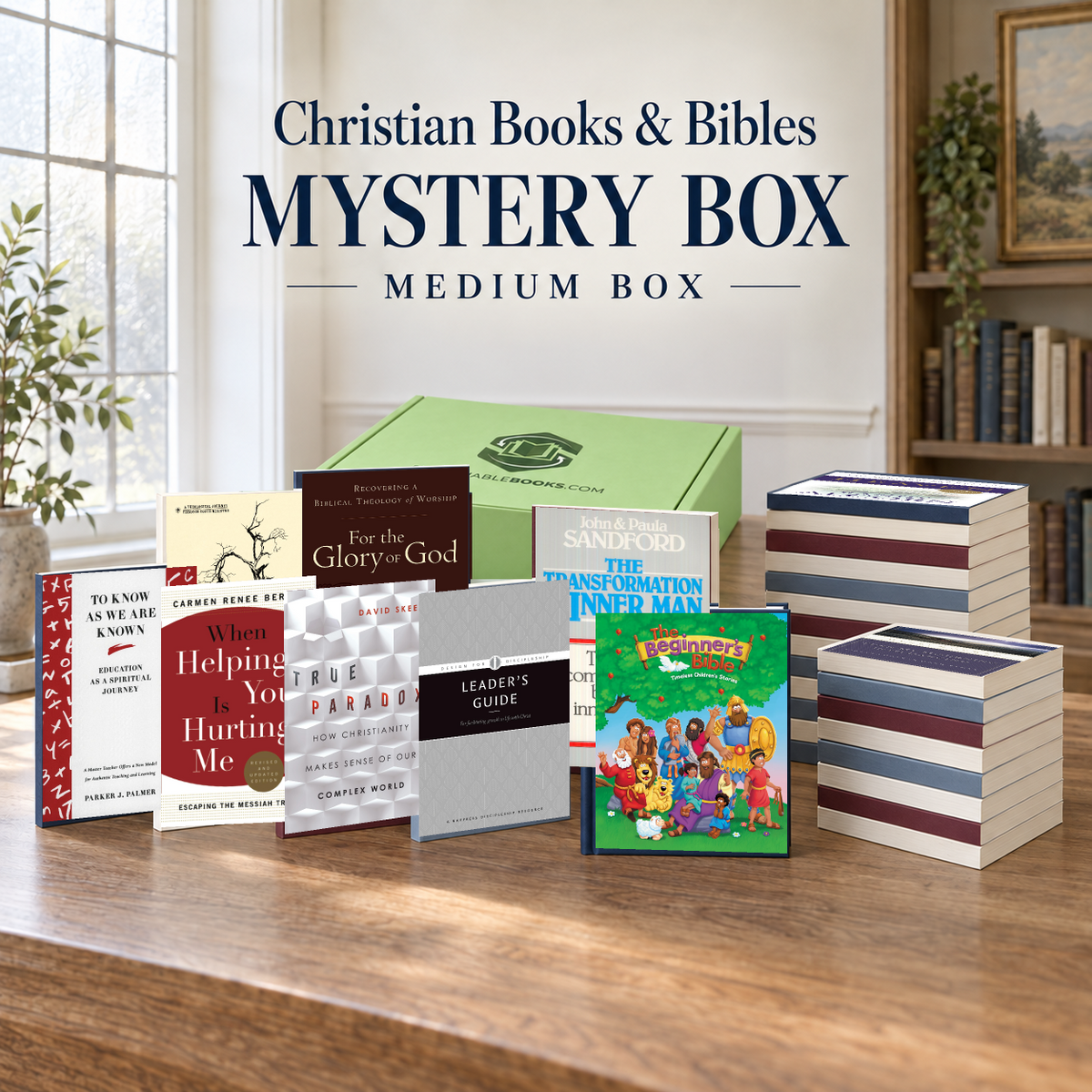 Christian Books & Bibles medium mystery box with example books. Titles and quantities vary.