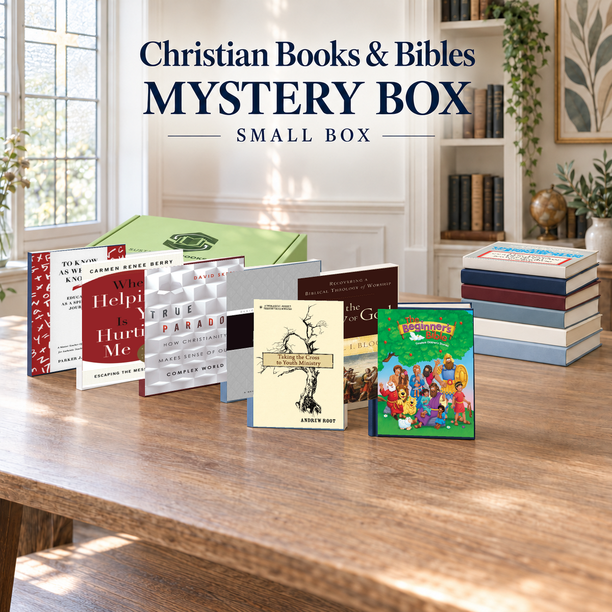 Christian Books & Bibles small mystery box with example books. Titles and quantities vary.