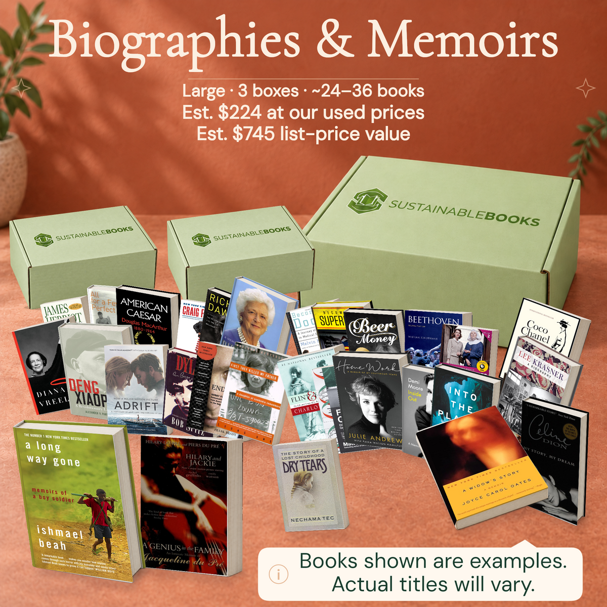 Biographies & Memoirs — Large mystery box. Example books; titles and count vary.