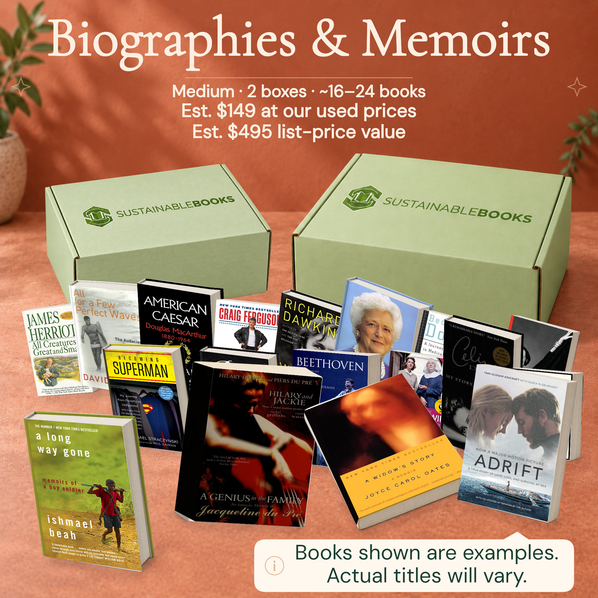 Biographies & Memoirs — Medium mystery box. Example books; titles and count vary.