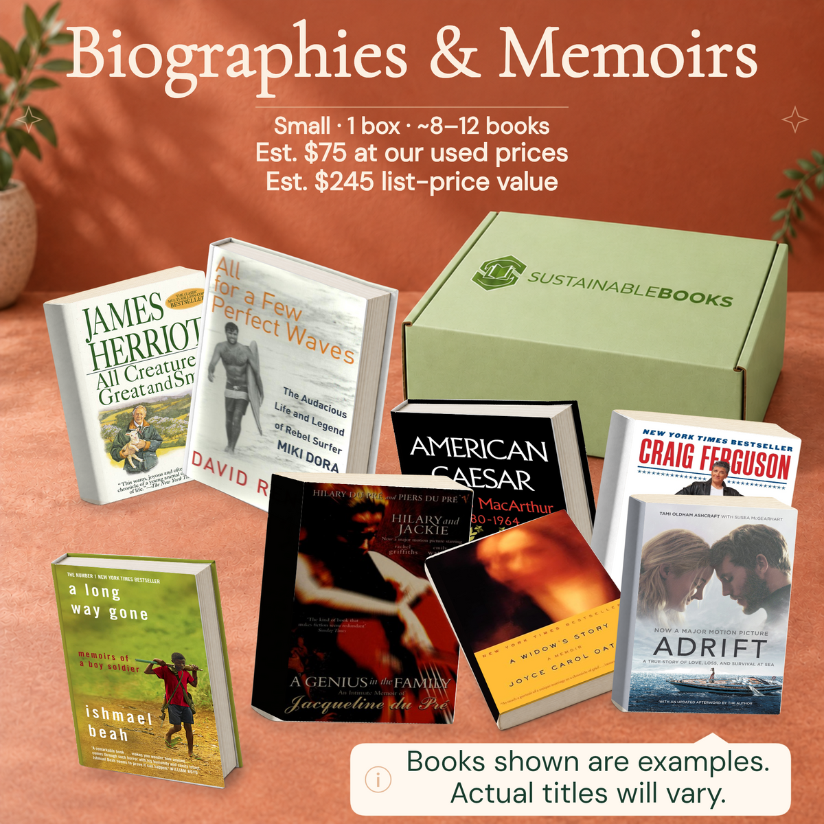 Biographies & Memoirs — Small mystery box. Example books; titles and count vary.
