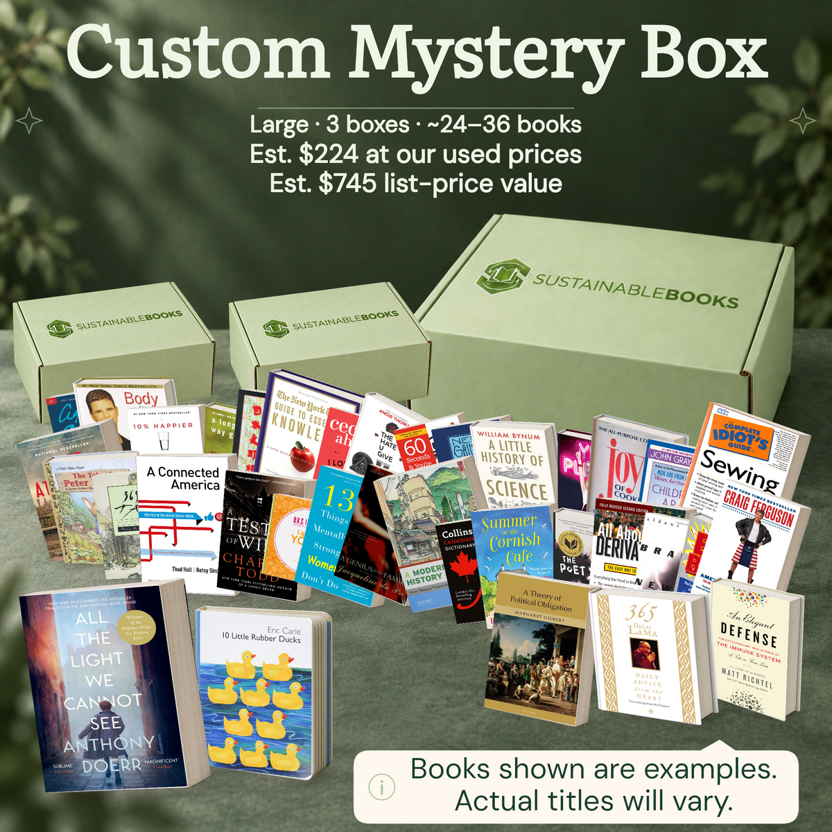 Custom Mystery Box — Large mystery box. Example books; titles and count vary.