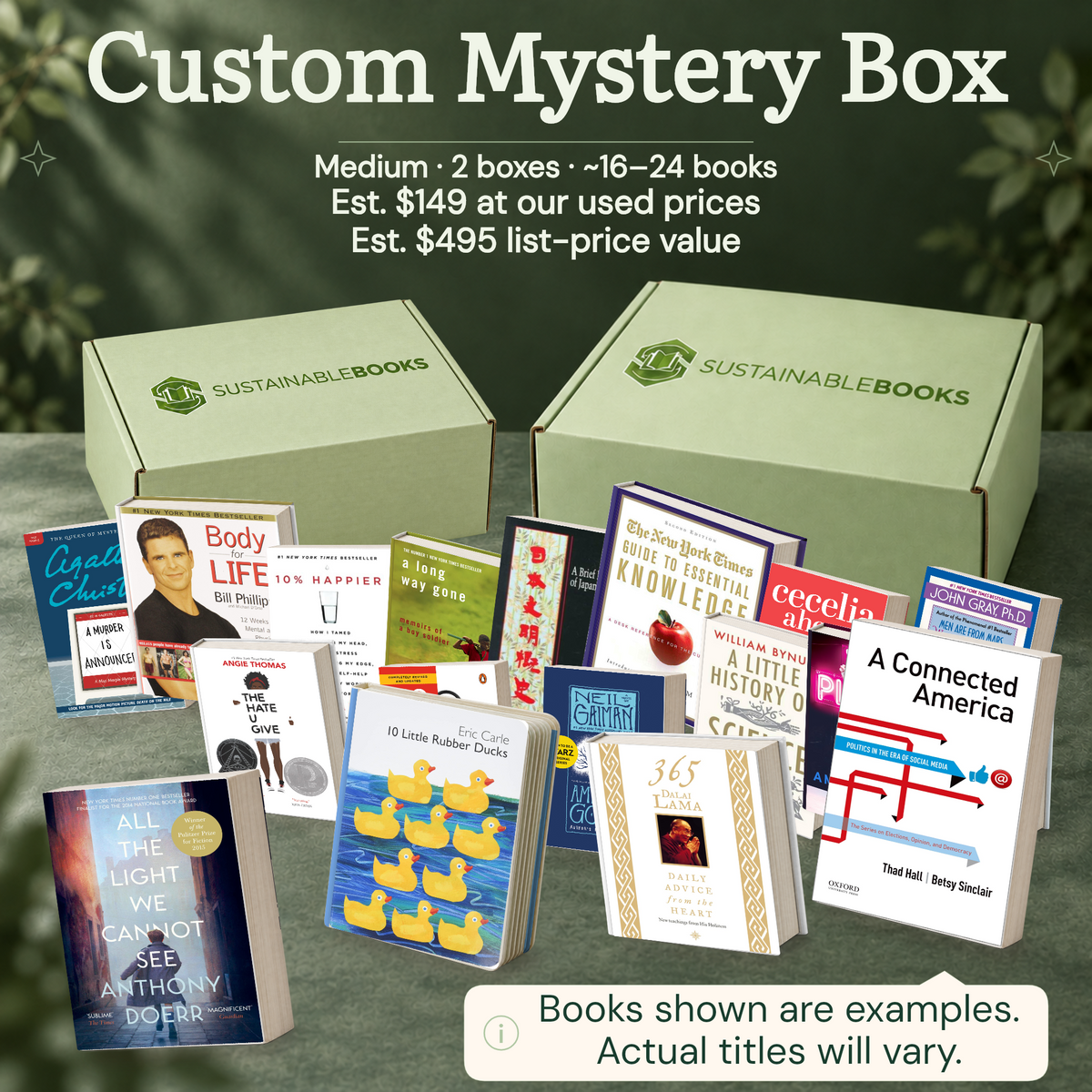 Custom Mystery Box — Medium mystery box. Example books; titles and count vary.