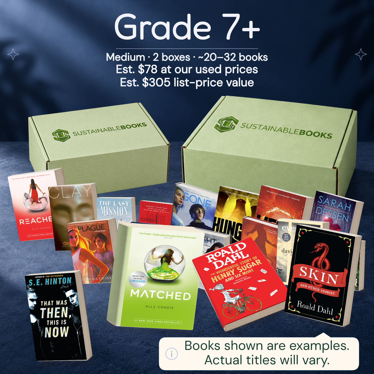 Grade 7+ — Medium mystery box. Example books; titles and count vary.