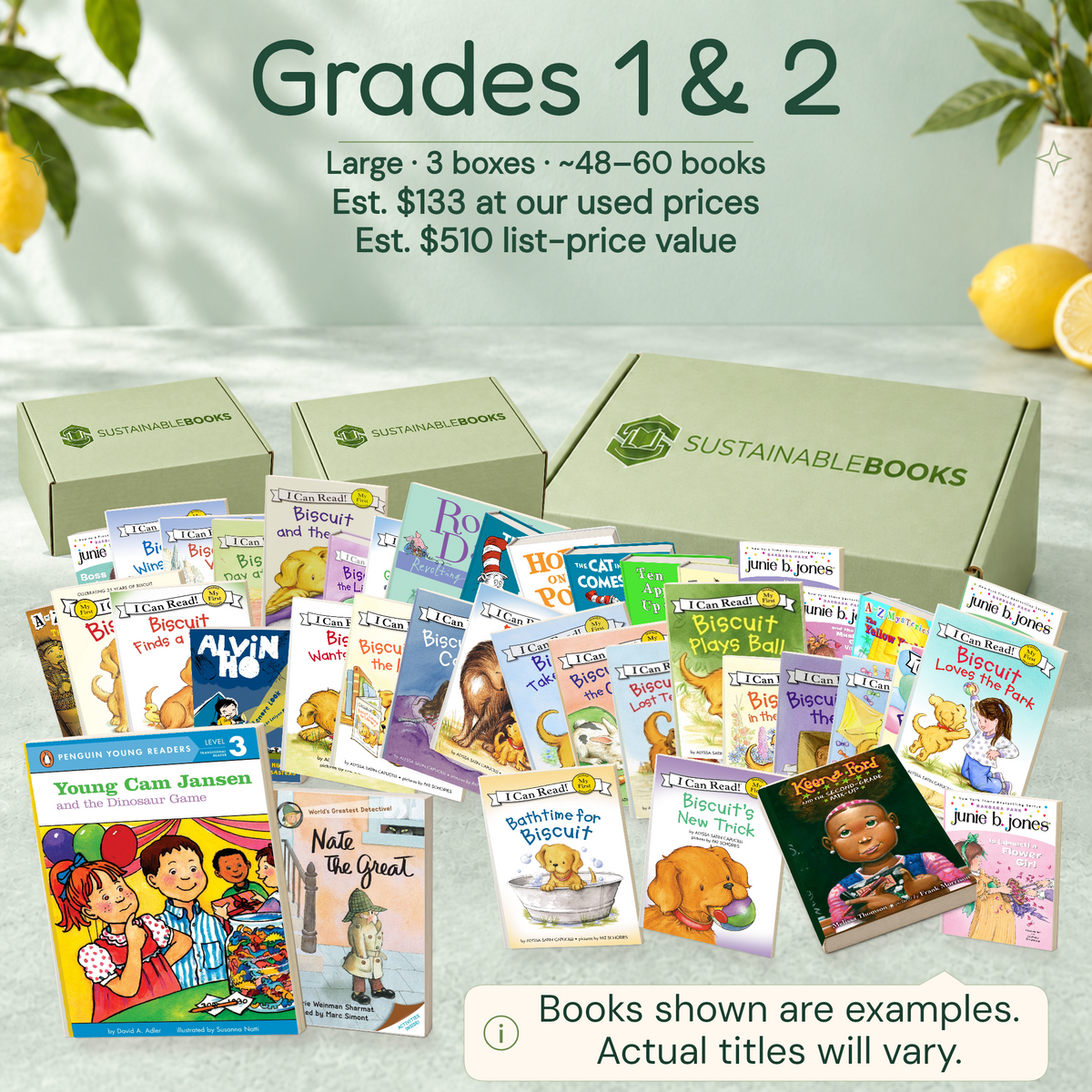 Grades 1 & 2 — Large mystery box. Example books; titles and count vary.