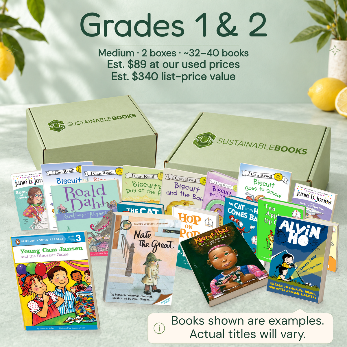 Grades 1 & 2 — Medium mystery box. Example books; titles and count vary.