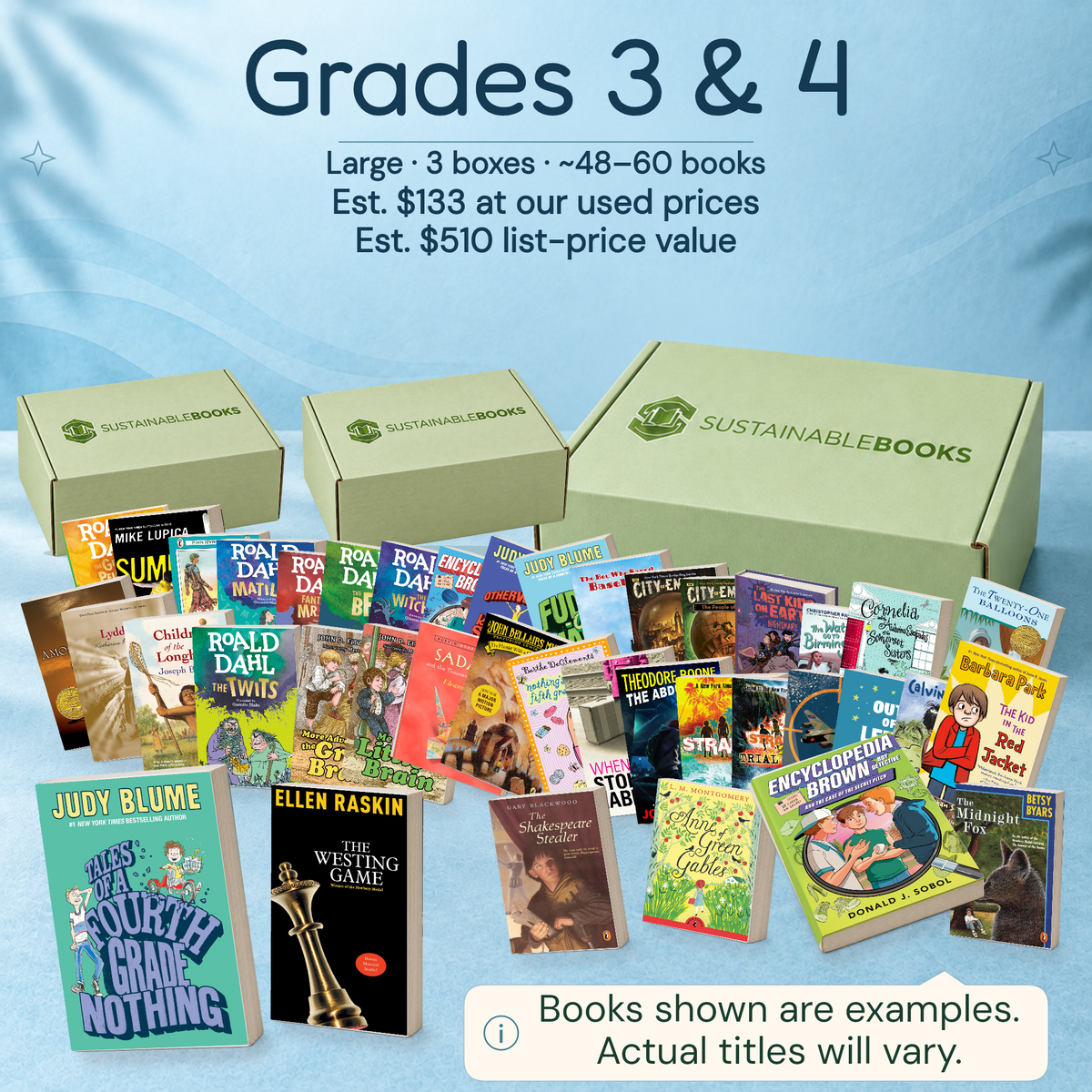 Grades 3 & 4 — Large mystery box. Example books; titles and count vary.