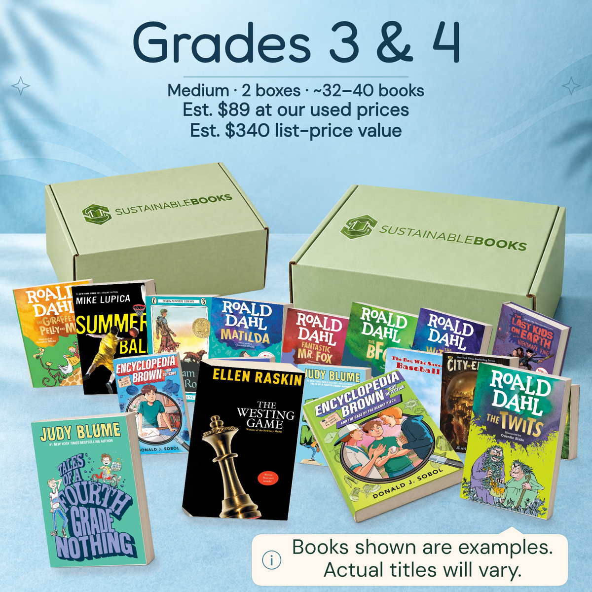 Grades 3 & 4 — Medium mystery box. Example books; titles and count vary.