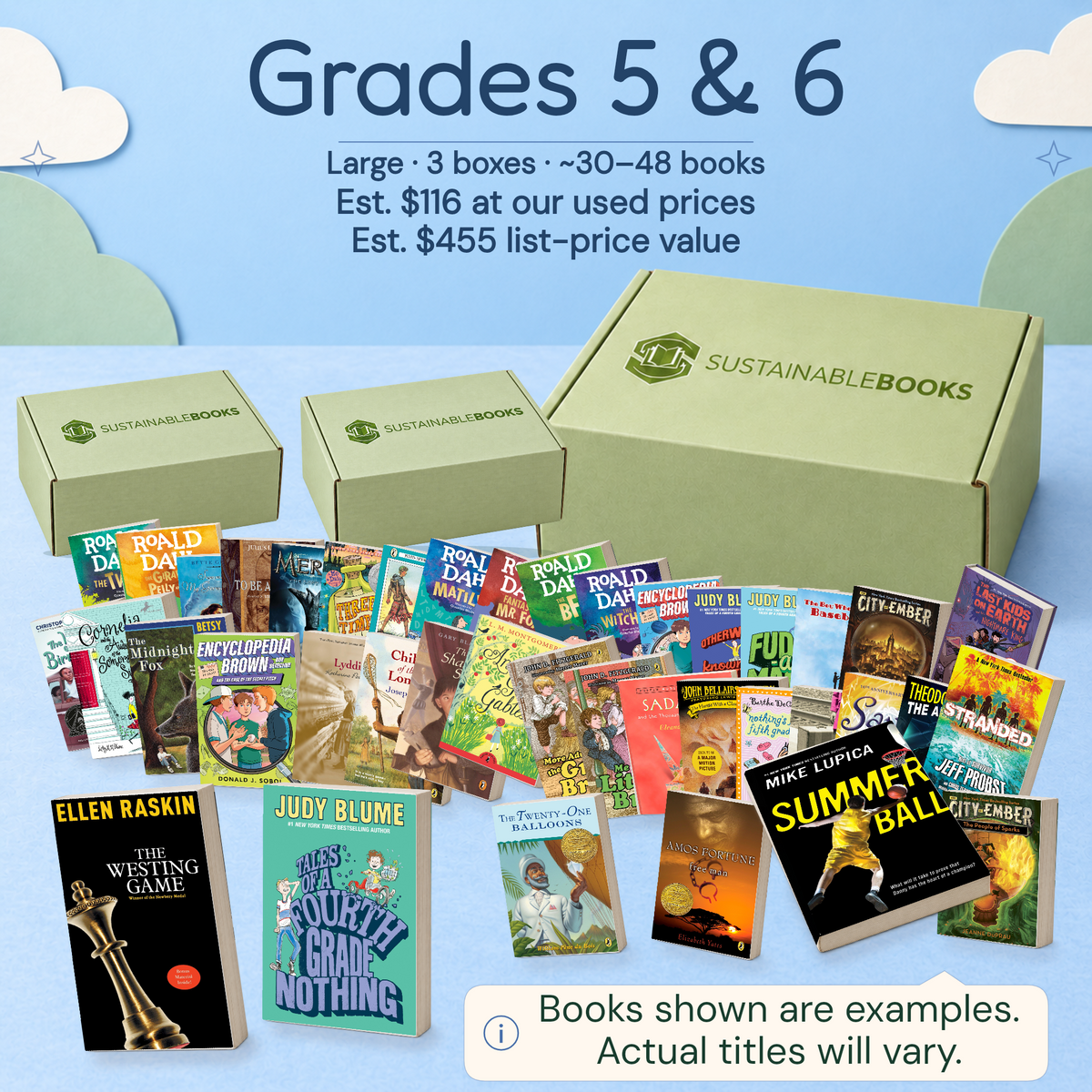 Grades 5 & 6 — Large mystery box. Example books; titles and count vary.