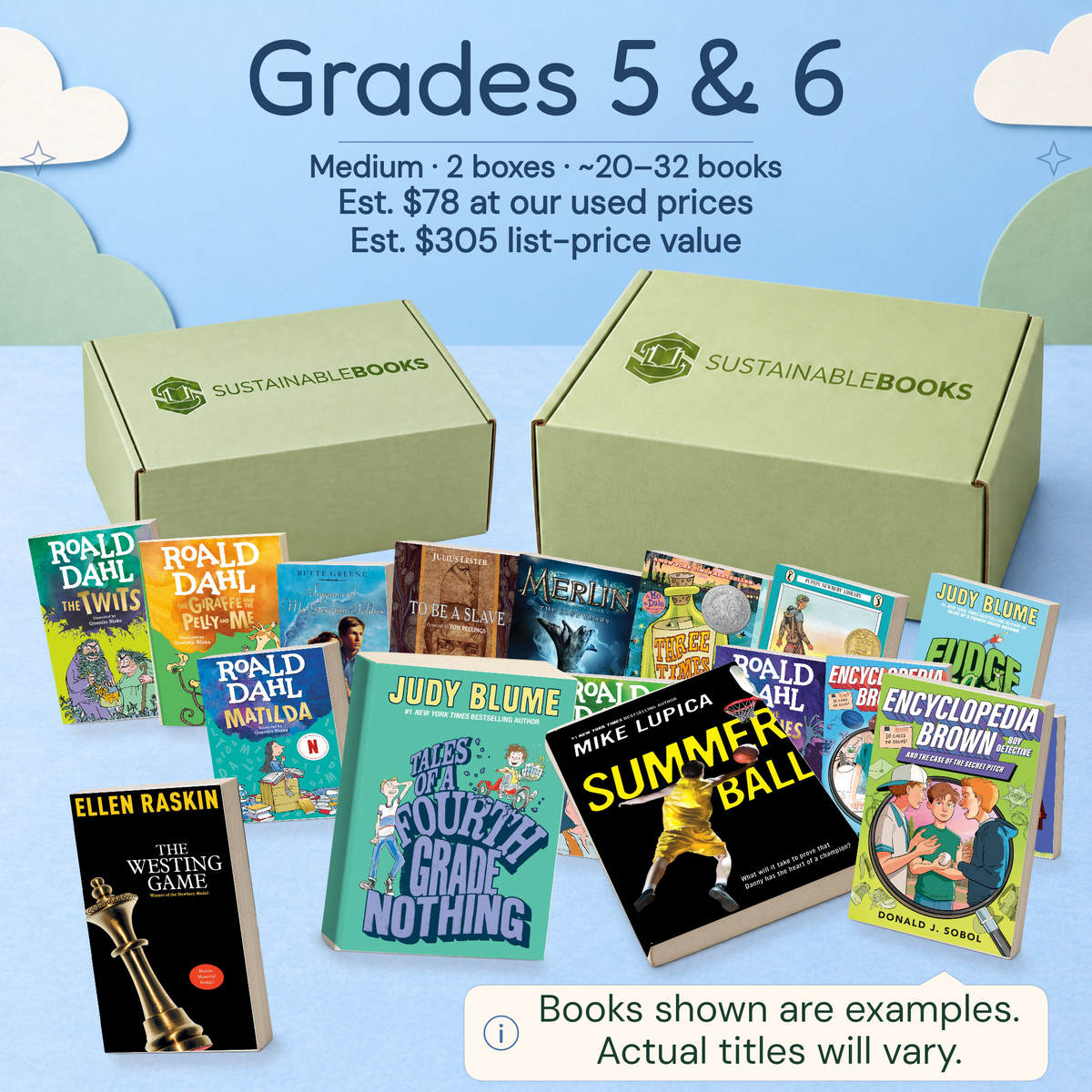 Grades 5 & 6 — Medium mystery box. Example books; titles and count vary.